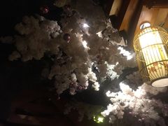 -汤乐汇•足道•SPA生活馆