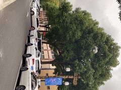 -宜兴龙背山森林公园