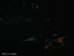 -怀托摩萤火虫洞