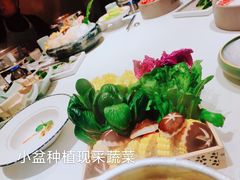 -最品火锅