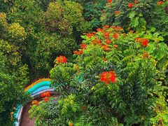 -西双版纳勐泐文化旅游区