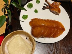 -梧桐