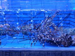 -徐记海鲜(曲江南湖店)