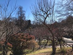 -井之头恩赐公园