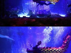 -沈阳海洋探索中心