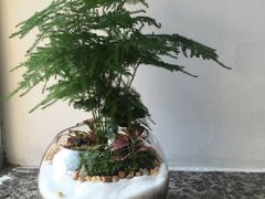 -A+匠心DIY手工坊·首饰·微景观
