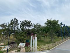 -小麦岛公园