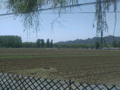 -北京东方普罗旺斯薰衣草庄园