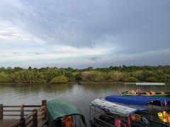 -东寨港红树林旅游区