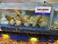 -欢乐海岸美食联盟