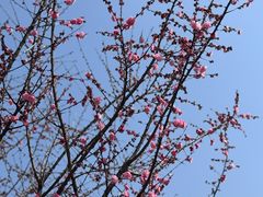 -中国天府农业博览园