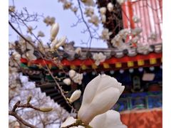 -北京艺术博物馆(万寿寺)