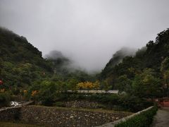 -牛背梁国家森林公园