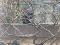 -虞山城墙