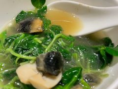 上汤萝卜苗-花城苑广府菜(侨鑫店)