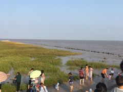 -南汇嘴观海公园