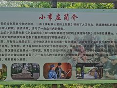 -微山湖红荷湿地景区