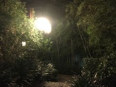 -天目湖涵田半山温泉