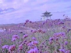 -贵阳市花溪国家城市湿地公园