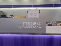 -一只酸奶牛(双流万达广场店)