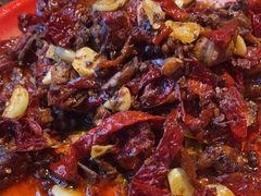 -柴窝堡22号辣子鸡·传承新疆菜