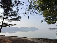 -东湖落雁景区