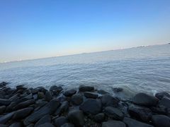 -上海吴淞炮台湾国家湿地公园