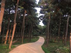 -鬼笑石后山停车场