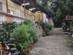 -区海鸡场饭店(石壁店)