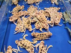 -三亚火车头万人海鲜广场