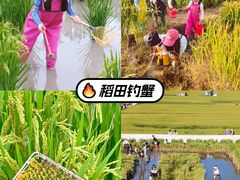 -阳澄湖半岛旅游度假区