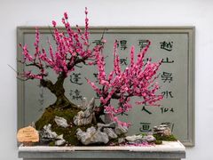 -杭州植物园