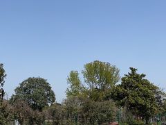 -苏州太湖西山岛开心农场