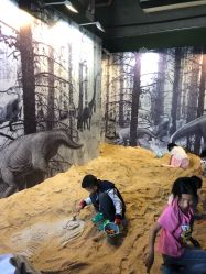 -恐龙探索乐园(磁器口店)