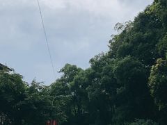 -西南交通大学(峨眉校区)