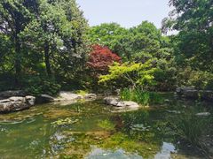 -上海滨江森林公园