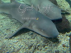 -福州罗源湾海洋世界旅游区