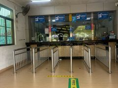 -广东惠东海龟国家级自然保护区