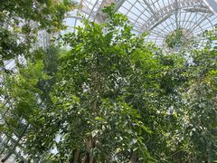 -郑州植物园