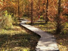 -国家植物园南园