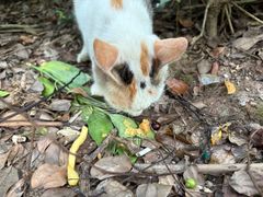 -南方医科大学南方医院(院本部)