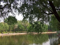 -团结湖公园