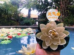 -清远熹乐谷温泉度假酒店