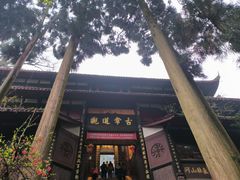 -青城山