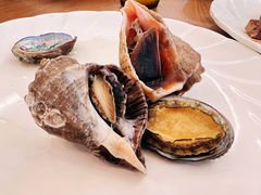 活蒸大海螺-禾斗海鲜自助(城阳宝龙店)