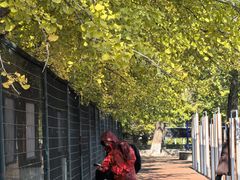 -辽宁大学(崇山校区)