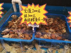 -必点海鲜·鲅鱼水饺(鞍山西道店)
