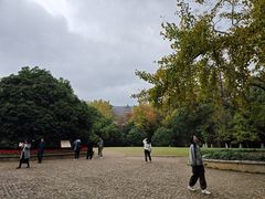 -灵谷景区