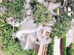 -胡里山炮台
