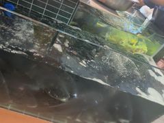 -小山寨(天润城店)